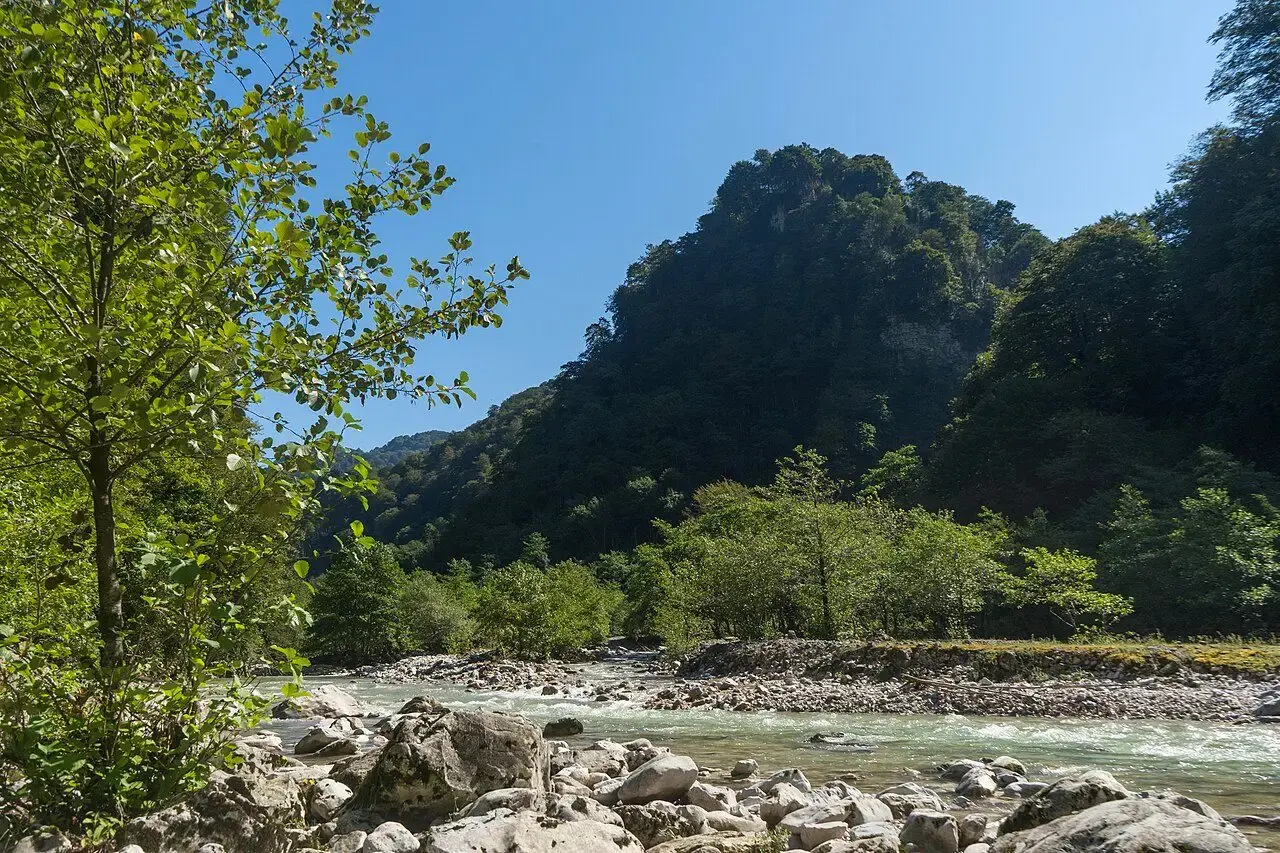 კლდოვანი კალაპოტი ტყიანი ბორცვების ძირას, ბალდის კანიონი