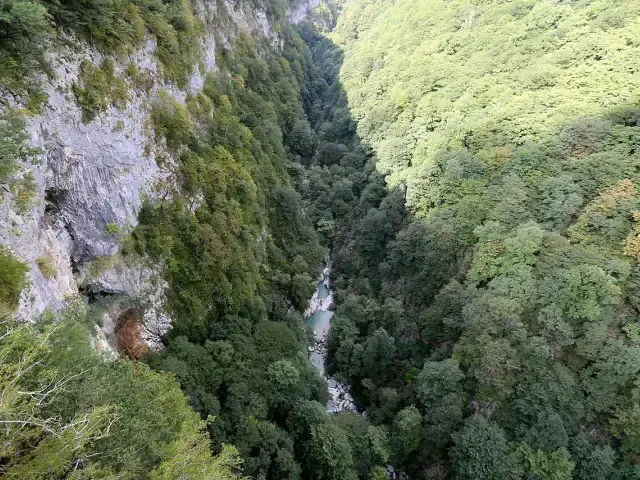 ოკაცეს კანიონის ტყიანი ფერდობები